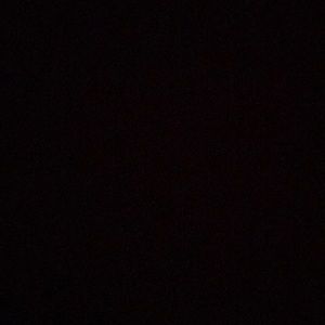 Meet your Posher, Gracie